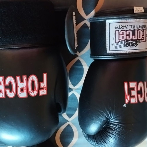 Forcei boxing gear set used