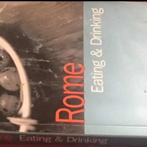 Rome guide used, English