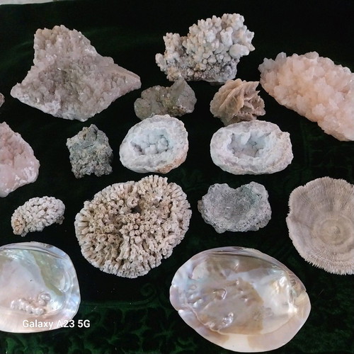 Coral and rock collection used, pack