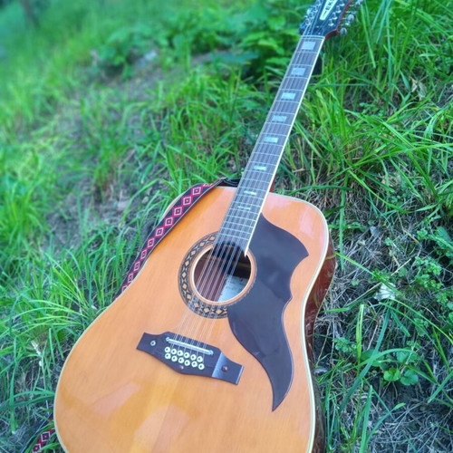 ECO Italia 12-String Guitar like new with decorated strap