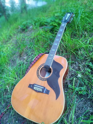 ECO Italia 12-String Guitar like new with decorated strap