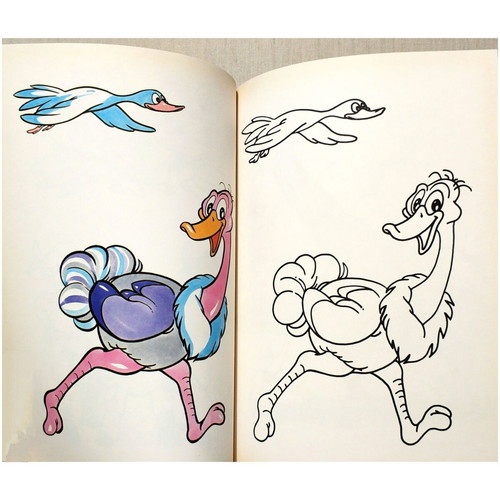 Chromorama of Animals new children's book with painting