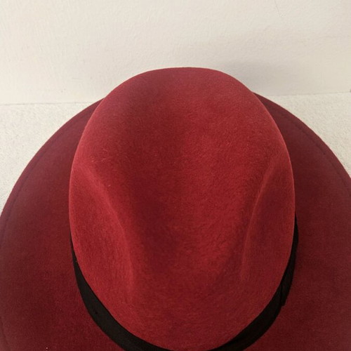 A.L.E. red hat new unisex
