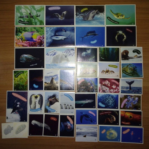 AB Vasilopoulos Exploring the Ocean sticker set with 39 stickers and 2 tattoos