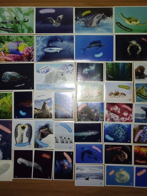 AB Vasilopoulos Exploring the Ocean sticker set with 39 stickers and 2 tattoos