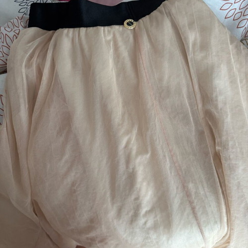 Tulle skirt Lynne used, cream with small tear