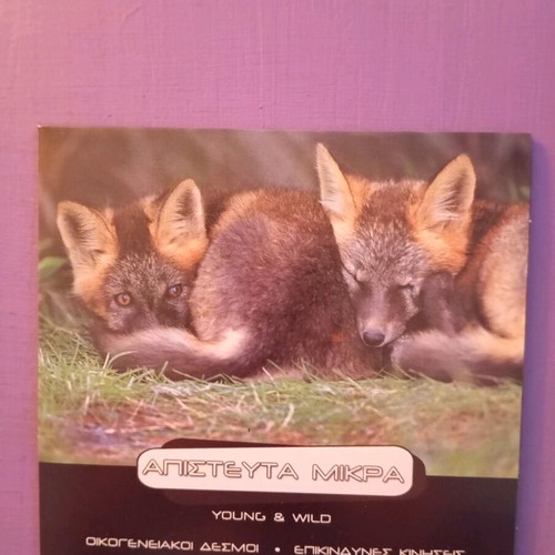Young & Wild DVD like new, documentary with subtitles