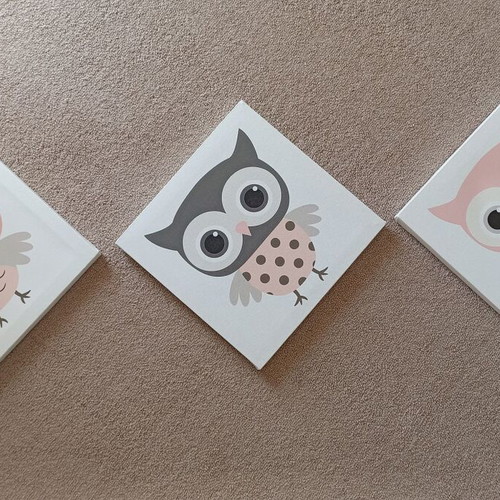 Cartoon Owls Sticky kids frames new, set of 3 pieces