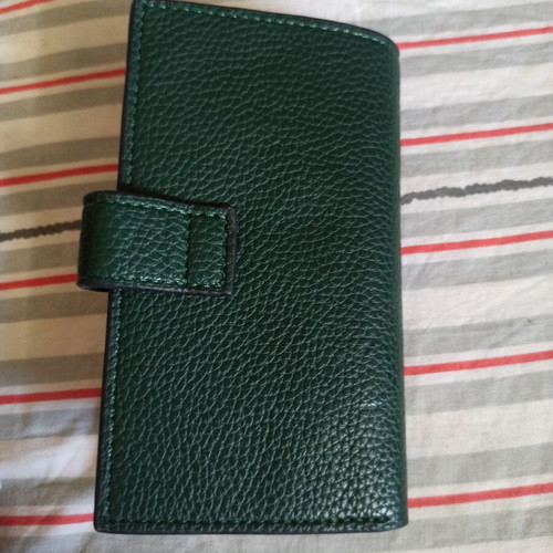 Rolex wallet, green