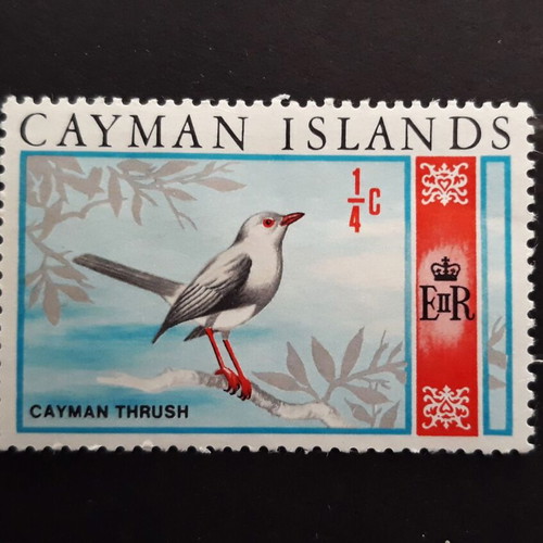 Γραμματόσημο Cayman Islands 1969 με τοπική σκηνή και πουλί Thrush σαν καινούργιο