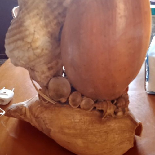 Shell table lamp used, 3 large, 28cm height, LED bulbs