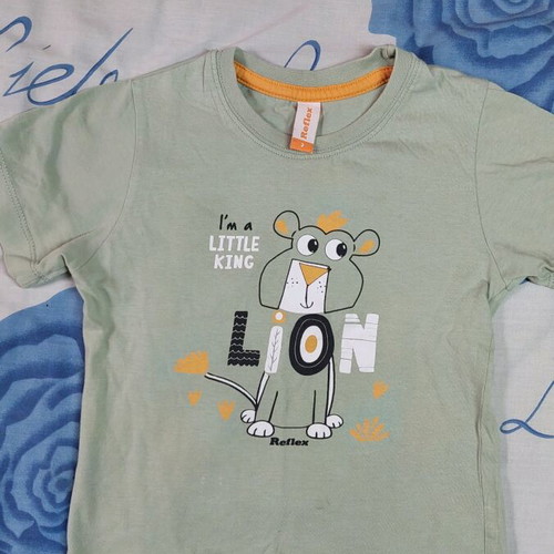 Reflex t-shirt used for 2 years with small defect