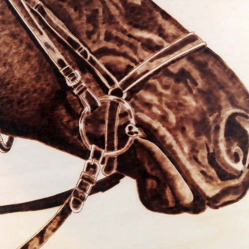 Horse portrait pyrography painting on linden wood