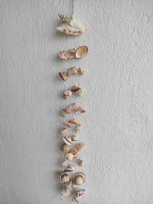 Dreamcatcher made of seashells new