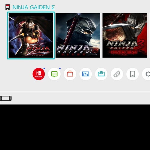Ninja Gaiden Master Collection Nintendo Switch game like new