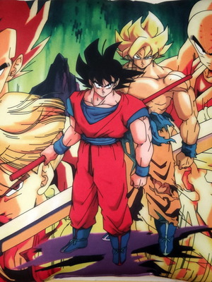 Dragon Ball decorative pillow with Goku, Vegeta, Trunks and Krillin figures