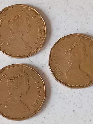 Κέρματα Canadian 1 Dollar Elizabeth II μεταχειρισμένα, 3 τμχ. 1987-1988