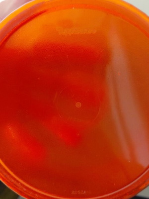 Tupperware bowl like new