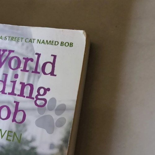 The World According to Bob by James Bowen