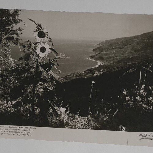Postcard Graphic Pilio Eastern Coasts in Aegean used, black and white