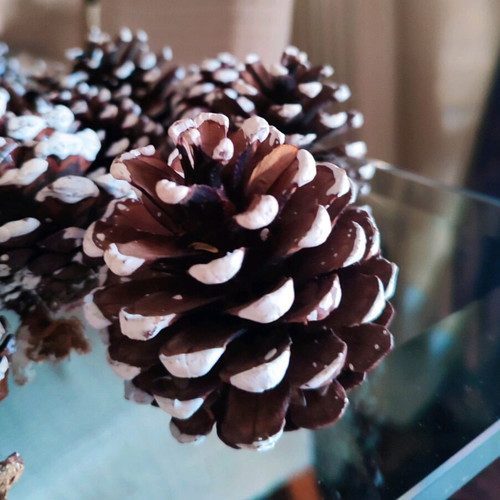 Decorative pine cones like new, pack of 21 pieces