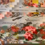  1000 ιδέες για Ντεκόρ - Συνταγές για ντεκόρ πιατων