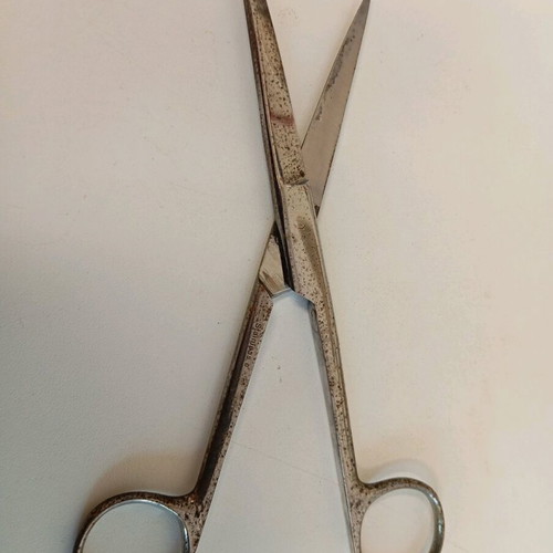Surgical scissors used, vintage for decor and collection