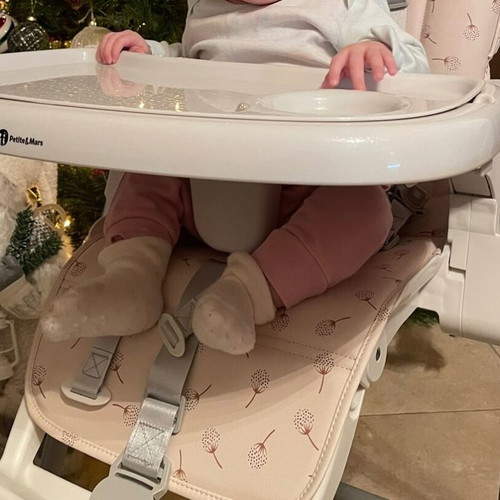 Highchair like new, purchased from Kiddo