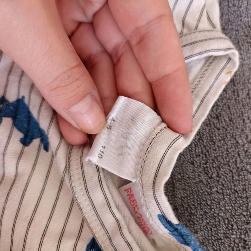 Zara long-sleeve kids t-shirt used with animals and stripes for 4-5 years