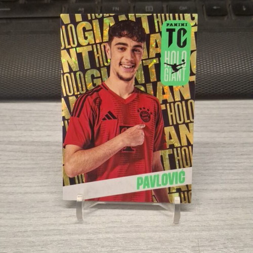 Panini Top Class 2025 Pavlovic Holo Giant card new