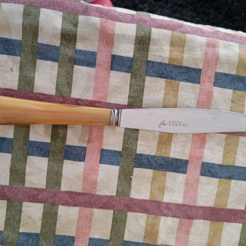 Household vintage luxury French Sopexa France cutlery like new with horn handle