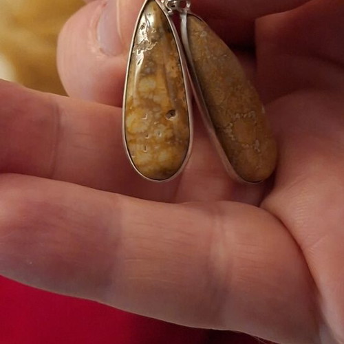 Fossil Coral Earrings new, silver plated 925