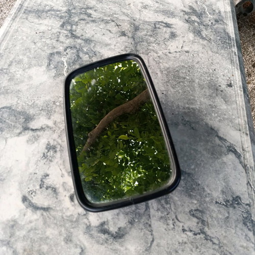 Mercedes bus mirror used