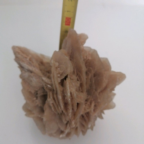 Desert rose like new natural mineral rock from Tunisia