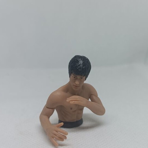 Bruce Lee Mini Busts Set of 5 DyDo Blend Japan