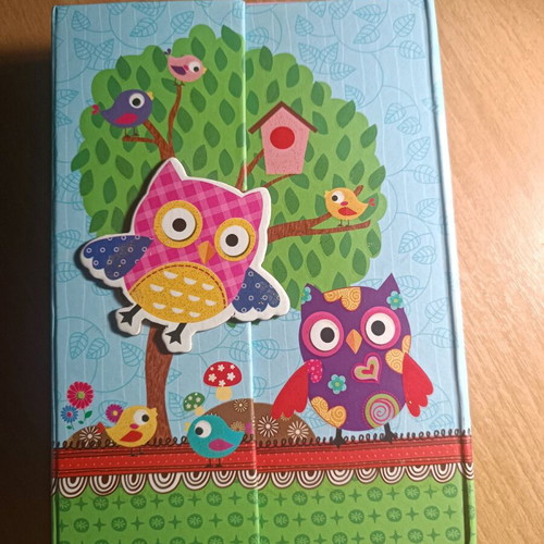 Children's diary like new with owl design