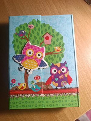 Children's diary like new with owl design