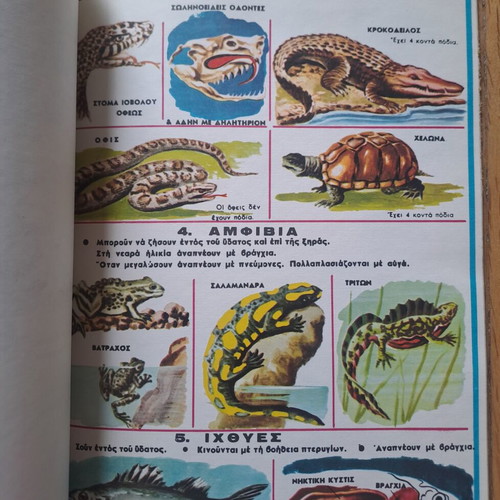 Vintage Zoology and Natural History Notebooks like new, set of 2