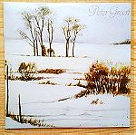  PETER GREEN - White Sky (1982) Δισκος βινυλιου, Classic Blues Rock