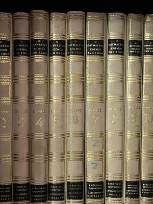 Encyclopedia The Wonderful World of Animals like new