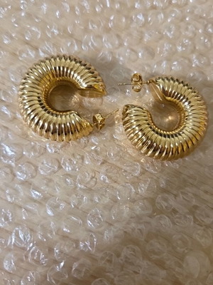 Stainless steel earrings