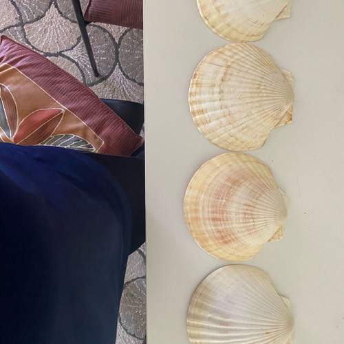 Set of 4 large decorative scallop shells like new