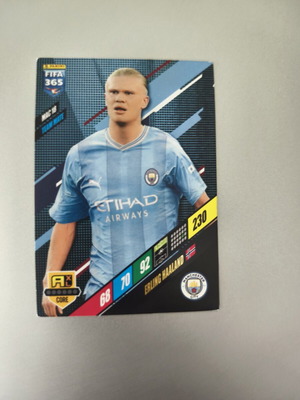 Erling Haaland basic 2024/25 card