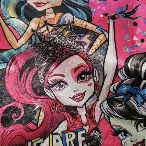 Monster High school backpack used with multiple compartments for primary school