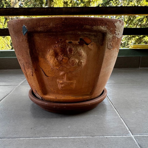 Terracotta flowerpots like new, various sizes
