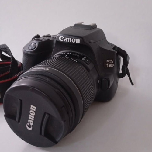Canon EOS 250D camera with 18-55IS STM and 50mm lenses used