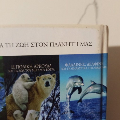 The Encyclopedia of Animals Volume 10 used, Penguins and Southern Pole Animals