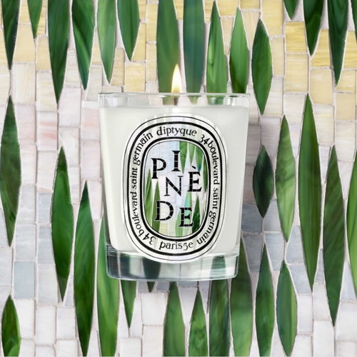 Diptyque Pinède Scented Candle Limited Edition 35g new