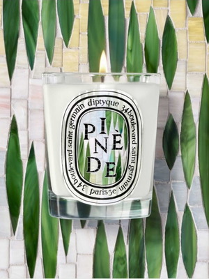 Diptyque Pinède Scented Candle Limited Edition 35g new