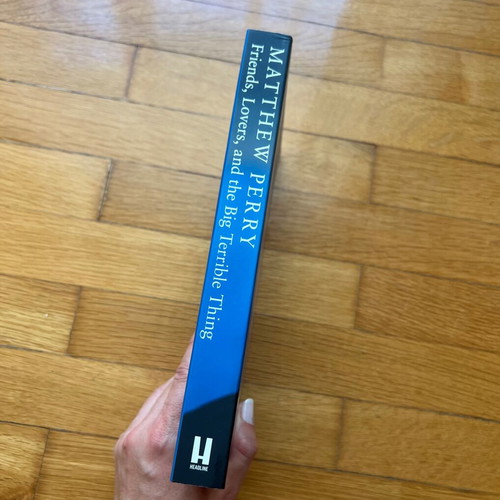 Friends, lovers, and the big terrible thing memoir like new